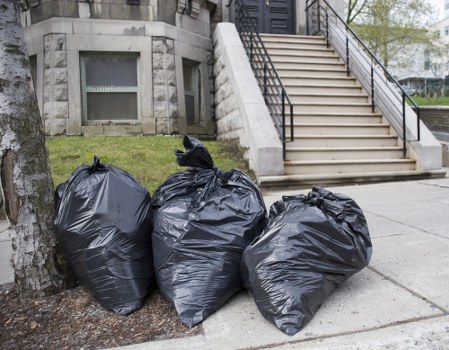 Benefits of maintaining a clear garden space
