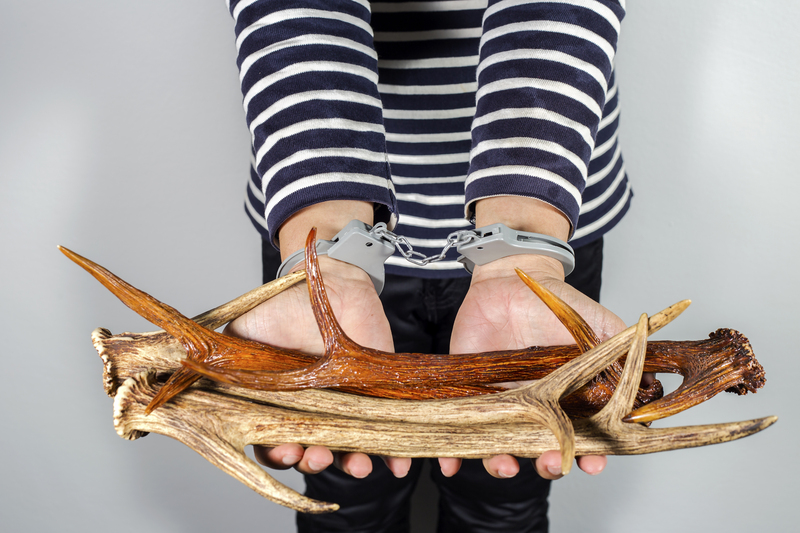 The Ultimate Room-by-Room Party Prep Cleaning Plan